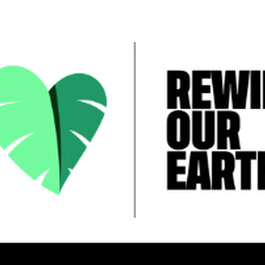 ysl abuse is not love